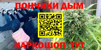 спайс Гагарин