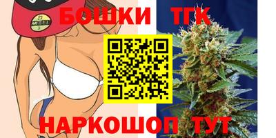спайс Гагарин