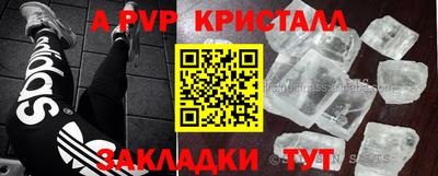 ALPHA PVP Гатчина