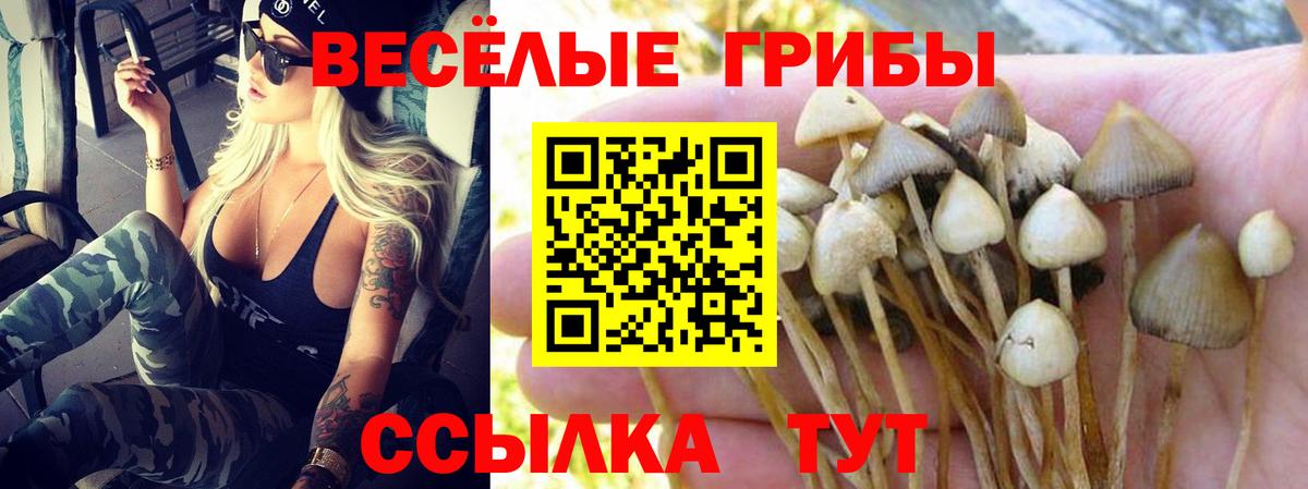 Горячий Ключ  где купить наркоту  Вход с VPN  Галлюциногенные грибы Magic Shrooms 